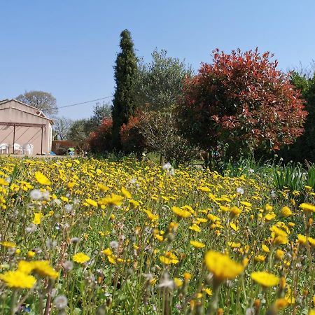 Maison De Vacances L'Hote Champetre Campagne Arlesienne Exteriér fotografie